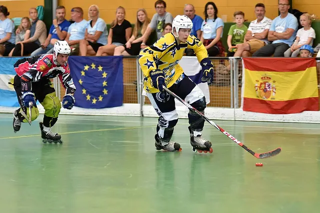 Roller in line hockey