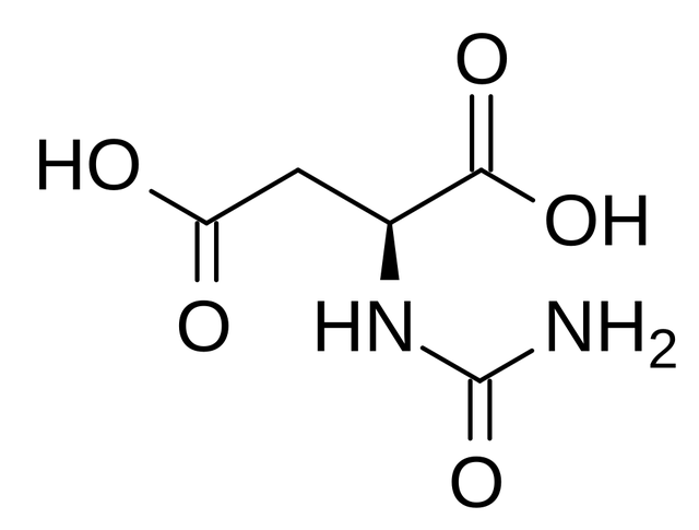 Ureidosuccinase