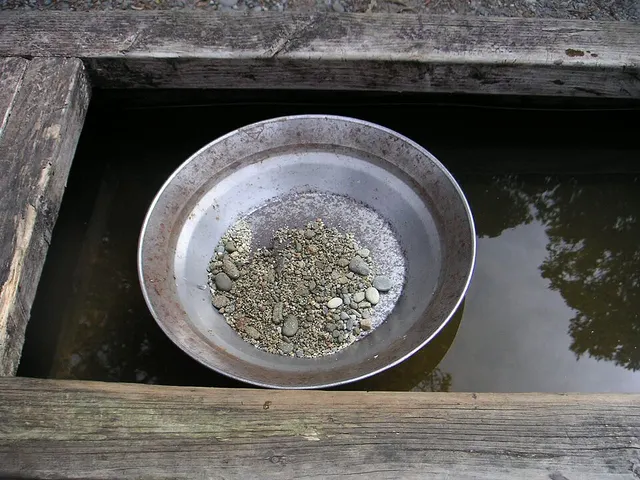 Gold prospecting