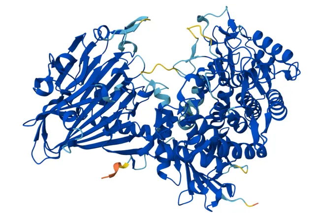 Laminaribiose phosphorylase