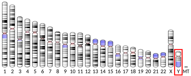DAZ1