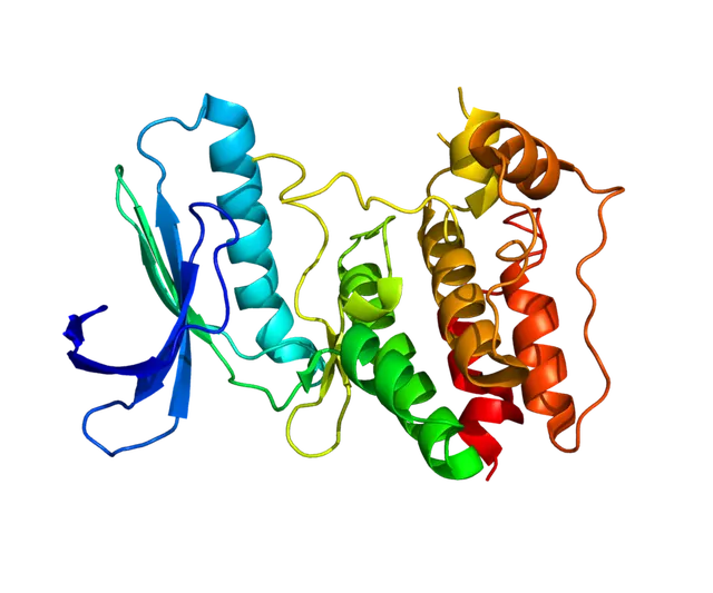 Dual specificity protein kinase TTK