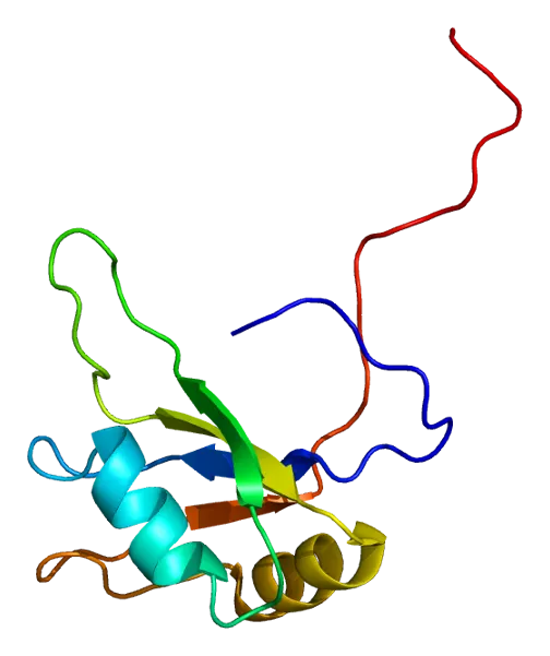 DAZ associated protein 1