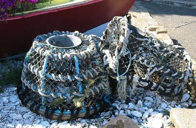 Lobster trap
