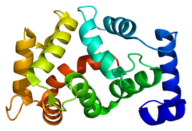KCNIP1