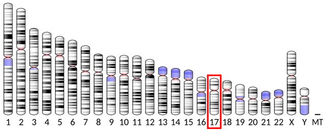 60S ribosomal protein L23a
