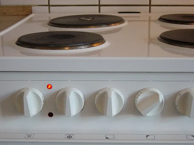 Electric stove