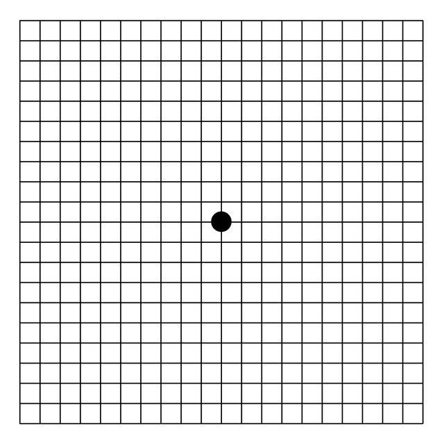 Grille d'Amsler