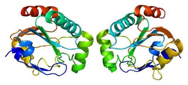 Glutathione peroxidase 7