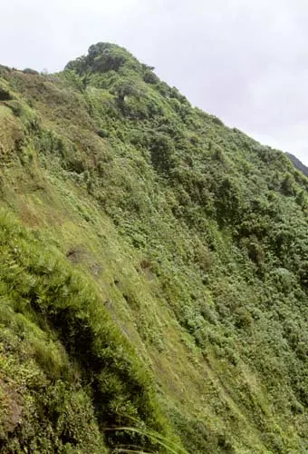 Mont Tekao