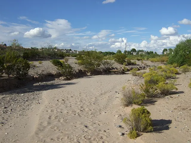 Arroyo