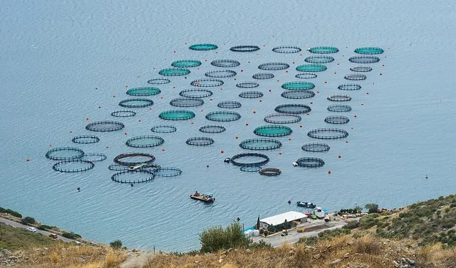 Pisciculture