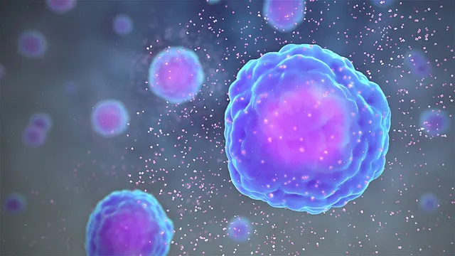 Cytokine