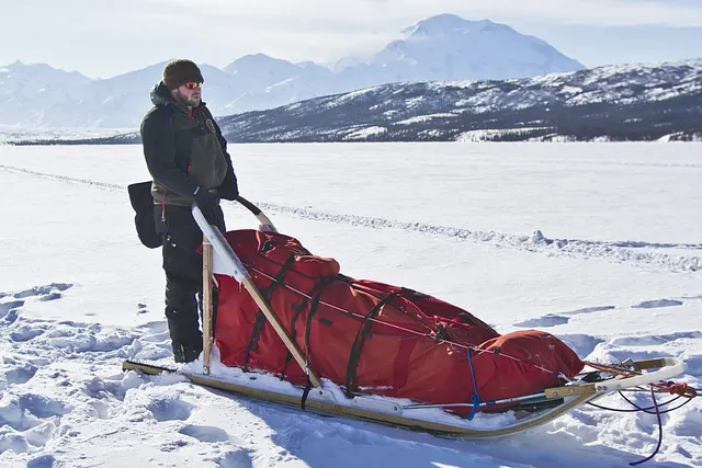 Sled