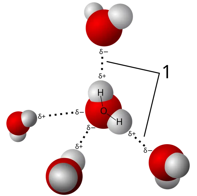 Force intermoléculaire