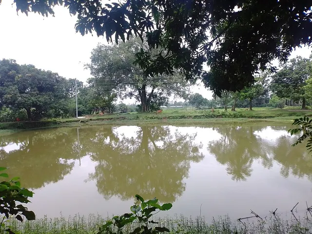 Shajahanpur