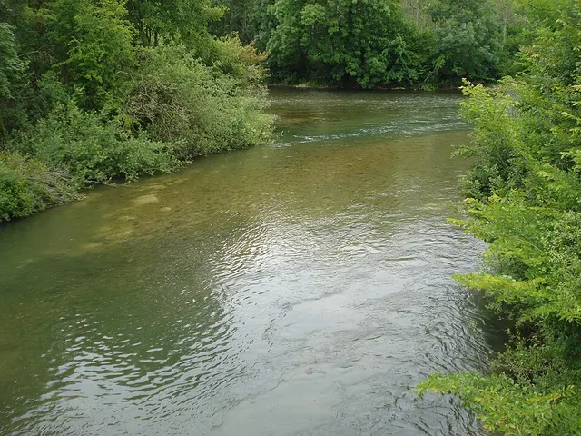 Merrey-sur-Arce