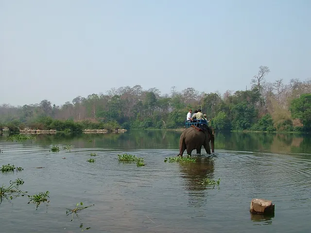Buôn Đôn