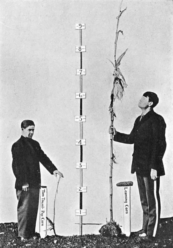 Heritability