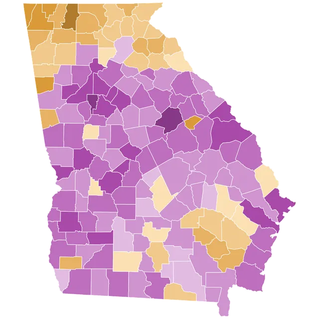 2008 Georgia Democratic presidential primary