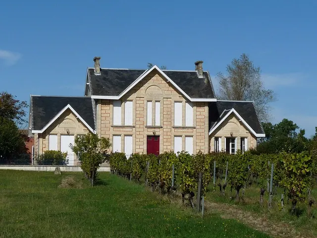 Saint-Vivien-de-Blaye