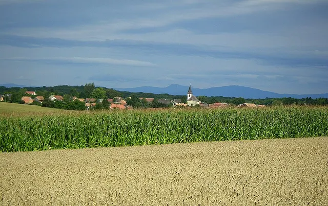 Galfingue