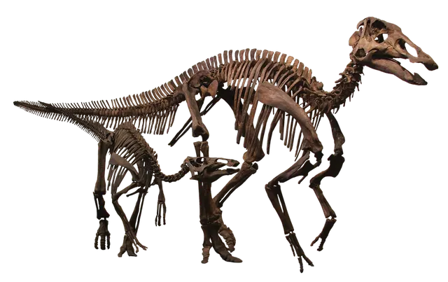 Edmontosaurus