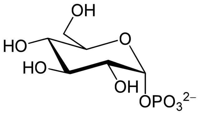 Α-D-glucose-1-phosphate