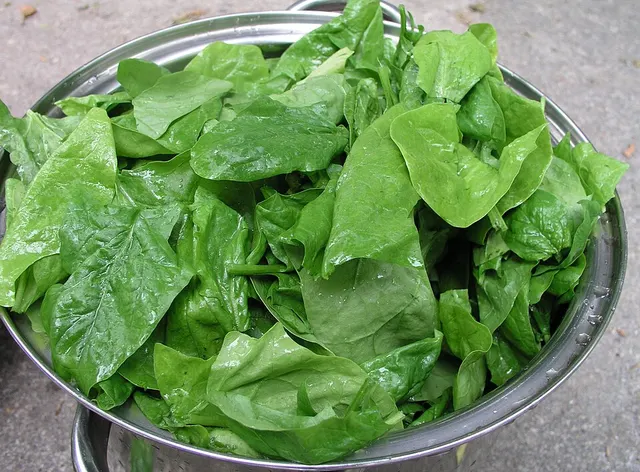 Légume-feuille