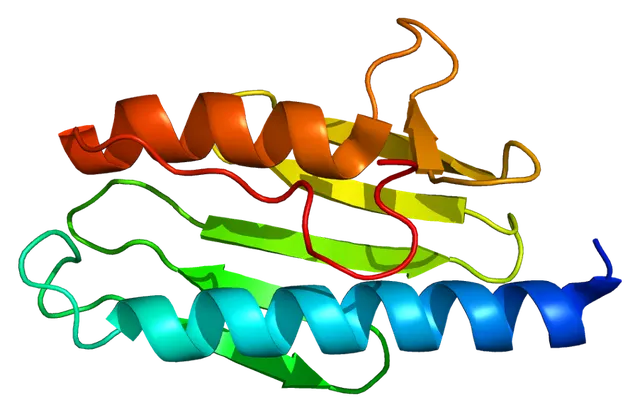 Friedreich's ataxia