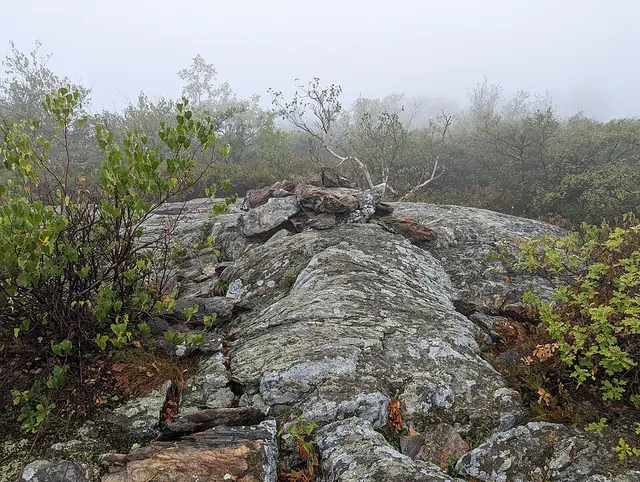 Round Mountain