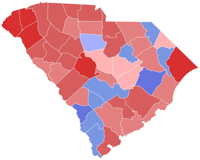 2010 United States Senate election in South Carolina