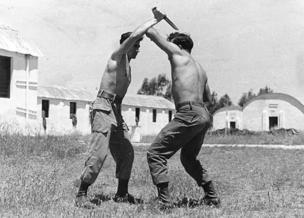 Krav Maga