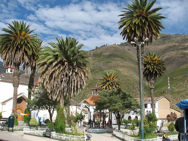 Juan Espinoza Medrano District