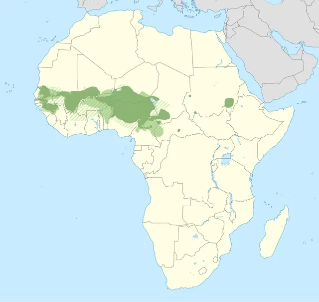 Fula language