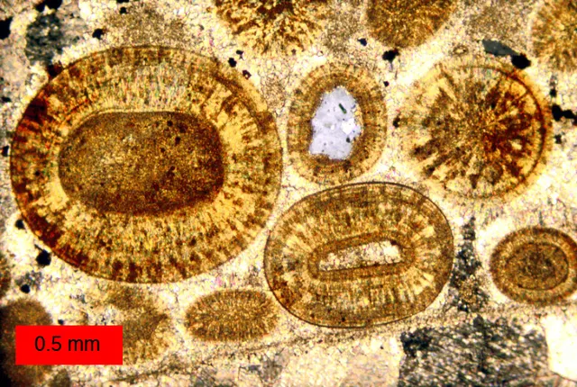 Cimentation