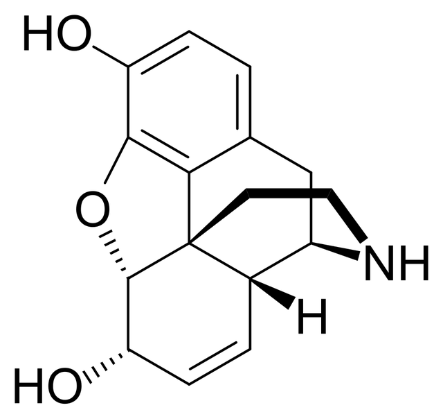 Normorphine