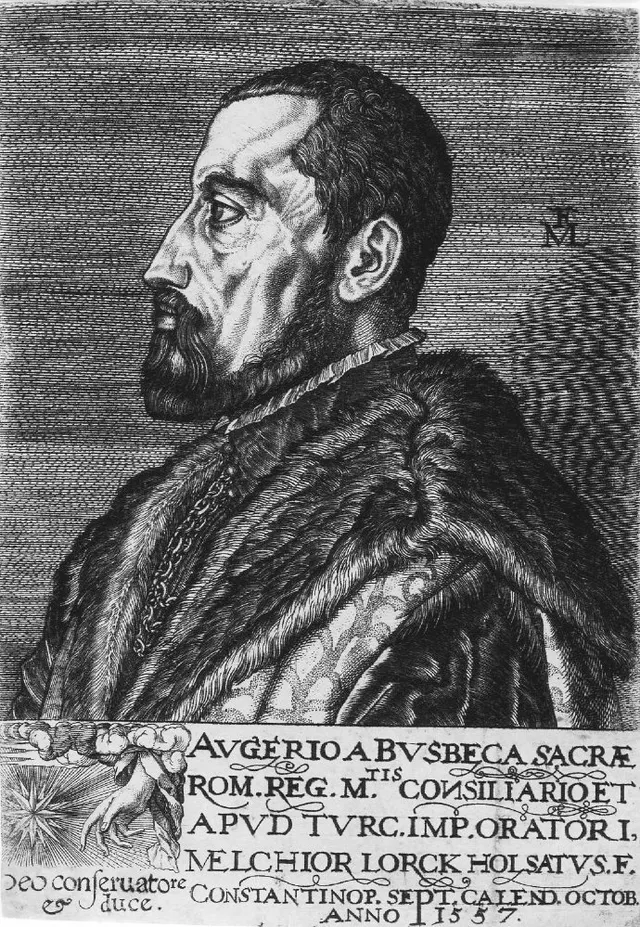 Ogier Ghislain de Busbecq