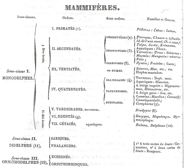 Tertiates