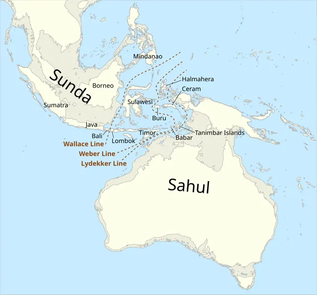 Sunda