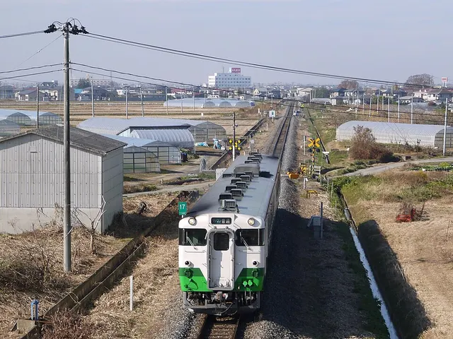 Ligne Ishinomaki