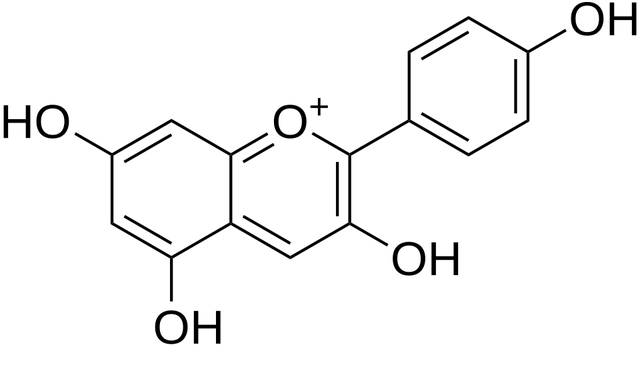 Pélargonidine