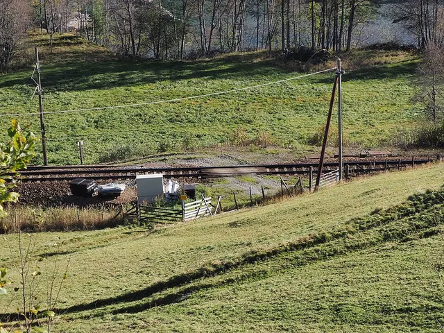 Volli Station