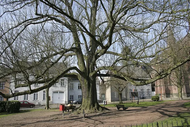 Belœil, Belgium