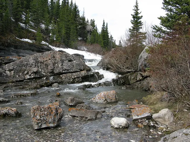 Whitehorse Creek