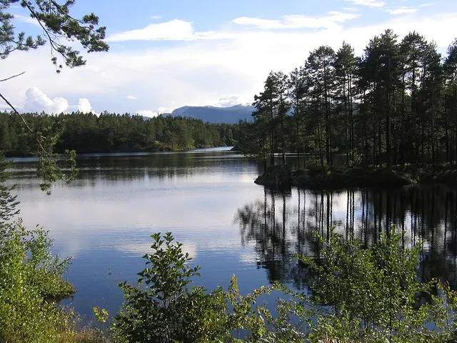 Nissedal Municipality