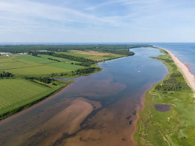 Barachois