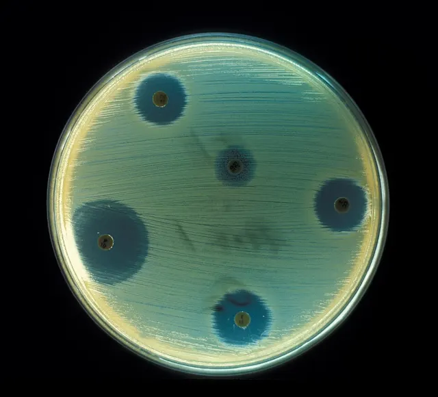 Antibiotic