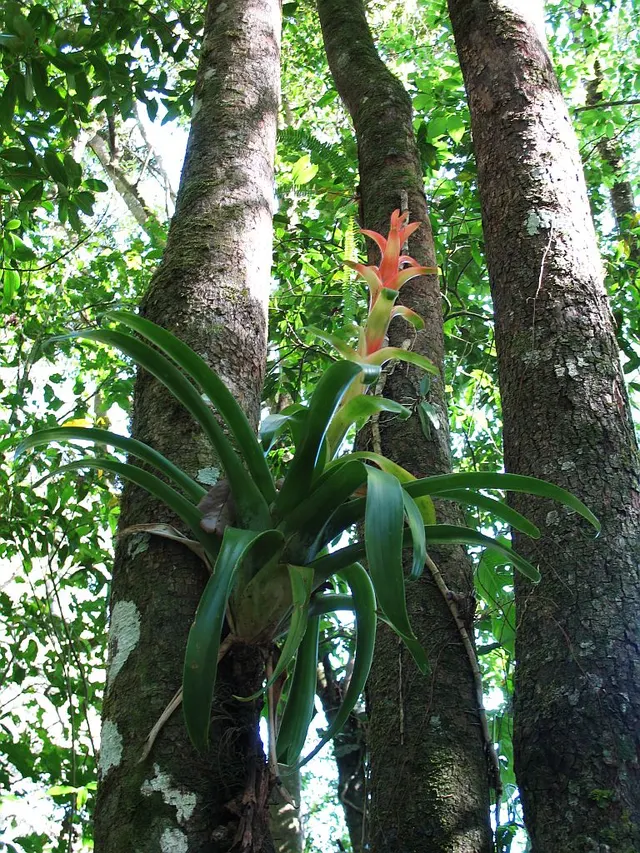 Trifinio Fraternidad Transboundary Biosphere Reserve