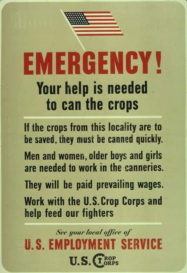 Labour economics
